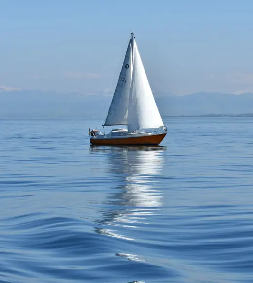 Rethinking the ManCo model: Why control no longer means doing it yourself